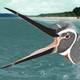 Image for article titled 36 million-year-old penguin was five feet tall and had reddish-brown feathers